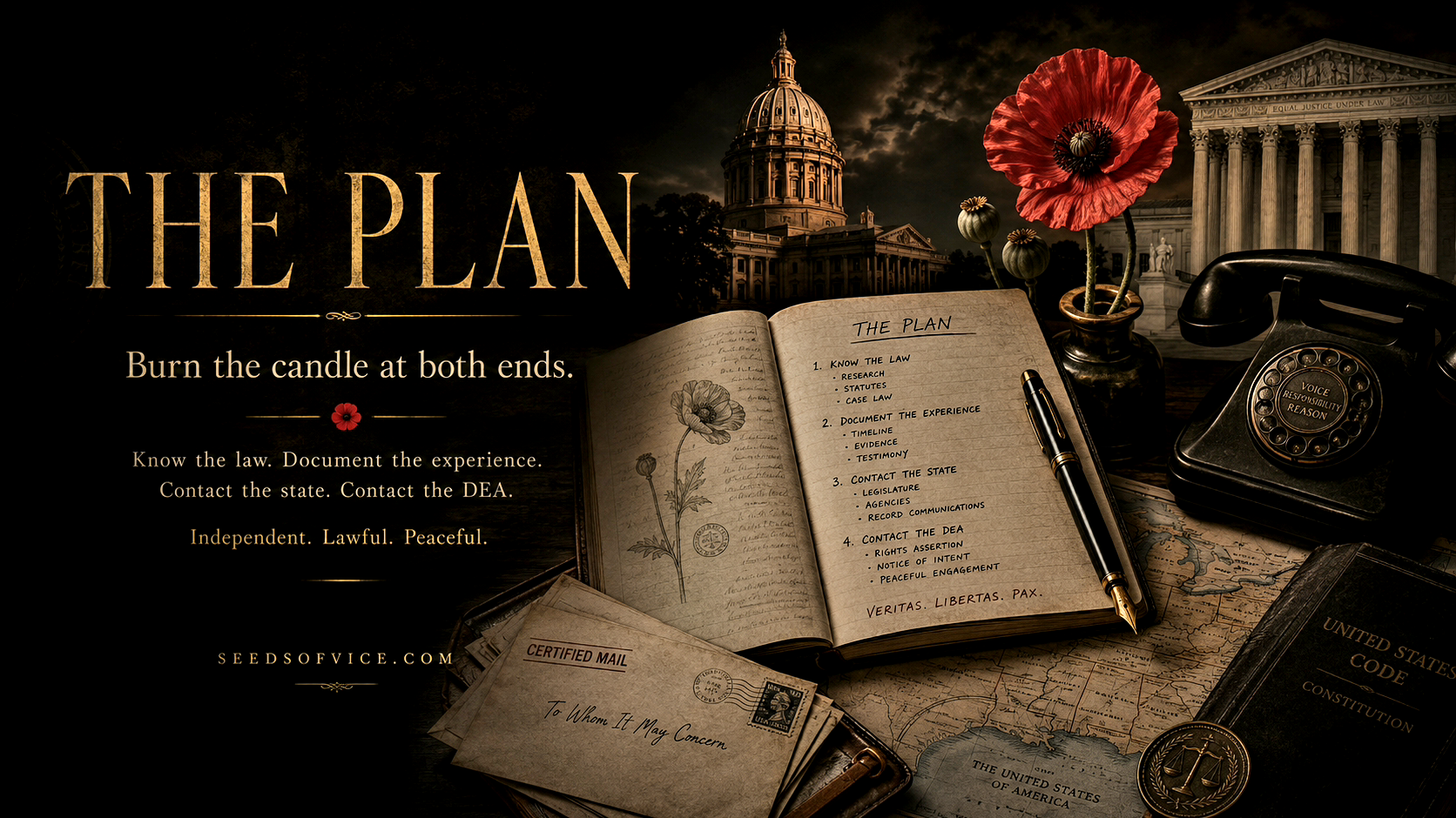 The Plan